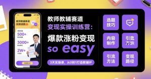 教师教辅赛道变现实操训练营，爆款涨粉变现so easy-稀缺资源库
