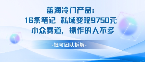 蓝海项目：16条笔记私域变现9750米小众赛道操作的人不多-稀缺资源库
