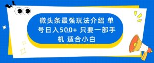 微头条最强玩法介绍一个号日入5张+只要一部手机适合小白-稀缺资源库
