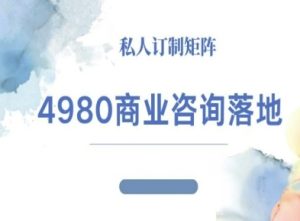 4980商业咨询师落地课程-ip运营高客单教程-稀缺资源库