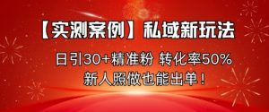【实测案例】私域新玩法,日引30+精准粉,转化率50%,新人照做也能出单!-稀缺资源库