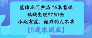 蓝海冷门产品:16条笔记私域变现9750米小众赛道,操作的人不多-稀缺资源库