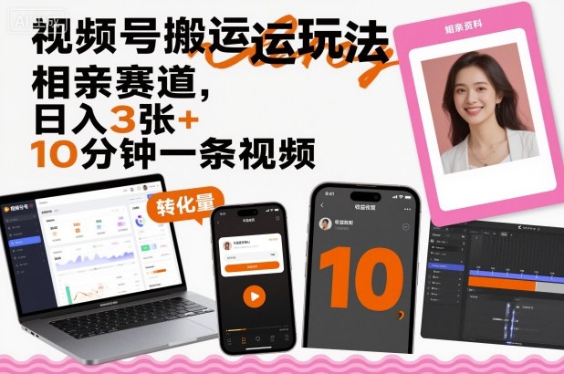视频号搬运玩法，相亲赛道，日入3张+，10分钟一条视频-稀缺资源库