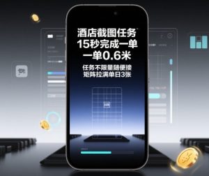 酒店截图任务,15秒完成一单,一单0.6米,任务不限量随便接,矩阵拉满单日3张【揭秘】-稀缺资源库