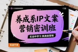 养成系IP文案营销密训班，实战中学习真高级营销-稀缺资源库