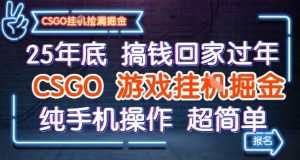25年底搞钱回家过年,CSGO游戏挂G掘金,纯手机操作超简单【揭秘】-稀缺资源库