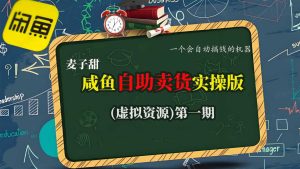 麦子甜咸鱼自助卖货实操版(虚拟资源)一个会自动搞钱的机器-稀缺资源库