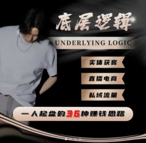 一个人起盘的底层逻辑,私域流量-直播电商-实体获客,一人起盘的36种賺钱思路-稀缺资源库