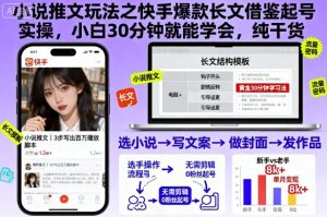 小说推文玩法之快手爆款长文借鉴起号实操,小白30分钟就能学会,纯干货-稀缺资源库