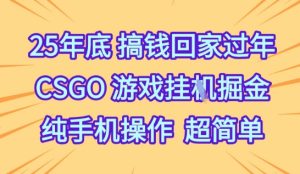 25年底搞钱回家过年,CSGO游戏挂G掘金,纯手机操作超简单【揭秘】-稀缺资源库