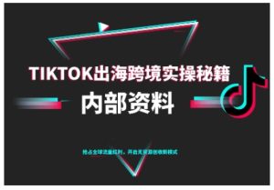 TikTok跨境电商0-1搭建运营，TK出海跨境实操秘籍（10月更新）-稀缺资源库