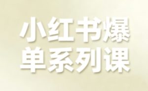 小红书爆单系列课,聚焦小红书电商全链路增长-稀缺资源库