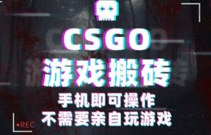 CSGO游戏挂G捡漏,单日扫货5张+,年底小高峰上车可吃肉,手机即可操作,兼职副业创业网创【揭秘】-稀缺资源库