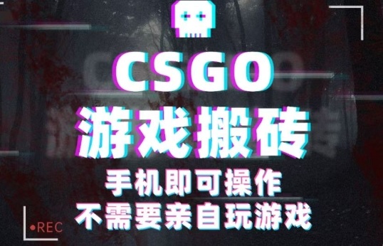 CSGO游戏挂G捡漏，单日扫货5张+，年底小高峰上车可吃肉，手机即可操作，兼职副业创业网创【揭秘】-稀缺资源库