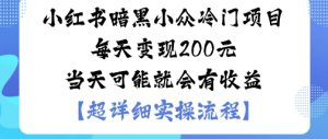 小红书暗黑小众冷门项目每天变现2张当天可能就会有收益-稀缺资源库