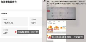 游戏加速器项目4.0_最新打法思路(爱玩游戏也能边玩边被动收益)-稀缺资源库