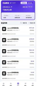 2025风口TK剪映capcut拉新项目,极限高客单,市场空白,2025下半年真正的蓝海项目-稀缺资源库