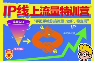 IP线上流量特训营，手把手教你搞流量、做IP、稳变现-稀缺资源库