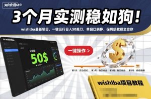 3个月实测稳如狗！wishlba最新项目，一键运行日入50美刀，单窗口躺挣，保姆级教程全给你【揭秘】-稀缺资源库