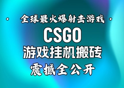 【年底大揭秘】基于全球最火爆的射击CSGO游戏挂G搬砖，日入5张+，震撼公开-稀缺资源库