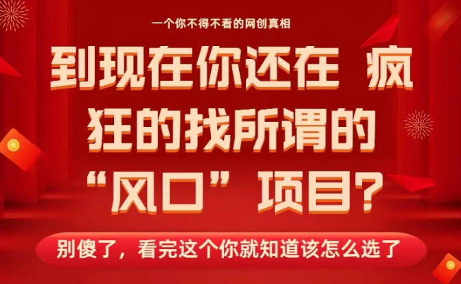 马上26年了，你还在找所谓的风口项目？别傻了，看完这个你全都懂了！【揭秘】-稀缺资源库
