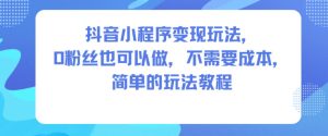 抖音小程序变现玩法，0粉丝也可以做，不需要成本，简单的玩法教程-稀缺资源库
