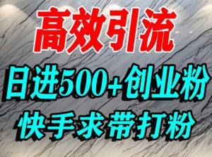 怎么打创业粉？快手求带视角精准引流创业粉，宝妈、学生群体日进500+精准流量-稀缺资源库