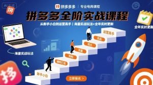 拼多多全阶实战课程,从新手小白到运营高手,海量实战玩法+全年实时更新【2025年10月更新】-稀缺资源库