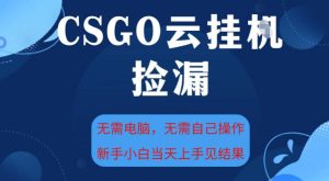 CSGO云挂G全自动捡漏,最新独家玩法,无需电脑操作,新手小白日入5张+【揭秘】-稀缺资源库