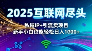 2025网创尽头王炸项目!私域IP+精准引流,新手小白在家躺賺日入1k,零经验也能上手【揭秘】-稀缺资源库