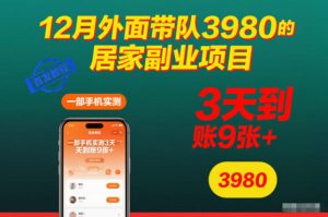 12月外面带队3980的居家副业项目,一部手机实测3天到账9张+,首发教程【揭秘】-稀缺资源库