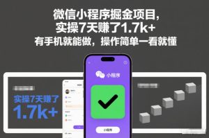 微信小程序掘金项目，实操7天賺了1.7k+，有手机就能做，操作简单一看就懂【揭秘】-稀缺资源库