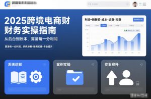 2025跨境电商财务实操指南，从后台到账本，算清每一分利润，系统讲解-案例实操-专业提升-稀缺资源库