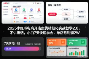 2025小红书电商开店卖货精细化实战教学2.0，不讲废话，小白7天快速学会，单店月利润2W-稀缺资源库