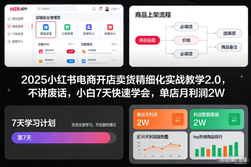 2025小红书电商开店卖货精细化实战教学2.0，不讲废话，小白7天快速学会，单店月利润2W-稀缺资源库