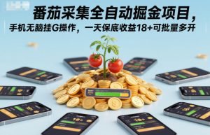 番茄采集全自动掘金项目，手机无脑挂G操作，一天保底收益18+可批量多开【揭秘】-稀缺资源库