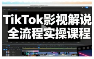 TikTok影视解说全流程实操,手把手教你打造TK爆款解说视频-稀缺资源库