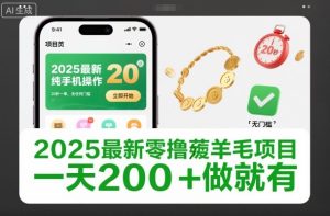 2025最新零撸薅羊毛项目，纯手机操作，20秒一单，无任何门槛，一天200+做就有【揭秘】-稀缺资源库