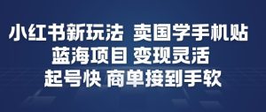小红书新玩法，卖国学手机贴，蓝海项目，变现灵活，起号快，商单接到手软-稀缺资源库