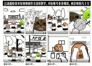 卤蛋哈基米短视频制作全流程教学，条条爆款，疯狂吸粉几十万-稀缺资源库