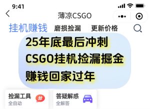 12月年底抓紧最后一个月,用CSGO游戏挂G捡漏掘金賺钱掘金,一部手机轻松日入5张+【揭秘】-稀缺资源库