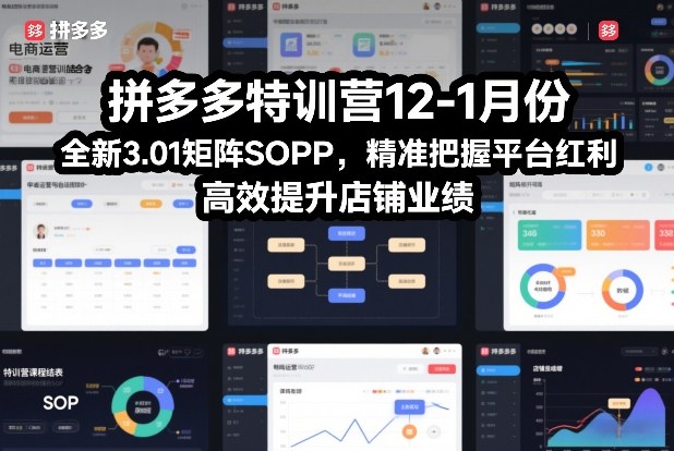 拼多多特训营12-1月份，全新3.01矩阵Sop，精准把握平台红利，高效提升店铺业绩-稀缺资源库