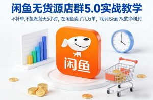 闲鱼无货源店群5.0实战教学，不补单，不投流，每天5小时，在闲鱼卖了几万单，每月5k到7k的净利润-稀缺资源库