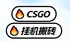 真全网独家CSGO挂G，最新玩法,单日捡漏1K+，不用电脑，不用打游戏【揭秘】-稀缺资源库