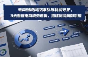 电商财税风控体系与利润守护，3天看懂电商税务逻辑，搭建利润防御系统-稀缺资源库