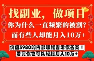 价值3980的网创内部课程，告诉你互联网创业月入10个W的秘密【揭秘】-稀缺资源库
