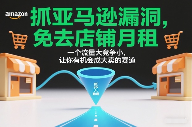 抓亚马逊漏洞，免去店铺月租，一个流量大竞争小，让你有机会成大卖的赛道-稀缺资源库