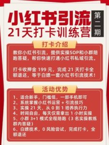 小红书引流21天打卡训练营第二期，助你快速打通小红书私域引流打粉-稀缺资源库