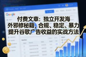 付费文章：独立开发海外邪修秘籍，合规、稳定、暴力提升谷歌广告收益的实战方法-稀缺资源库