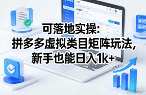 可落地实操：拼多多虚拟类目矩阵玩法，新手也能日入1k+【揭秘】-稀缺资源库